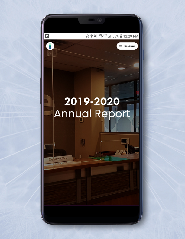 sace annual report 2019 cover image - SACE Reports