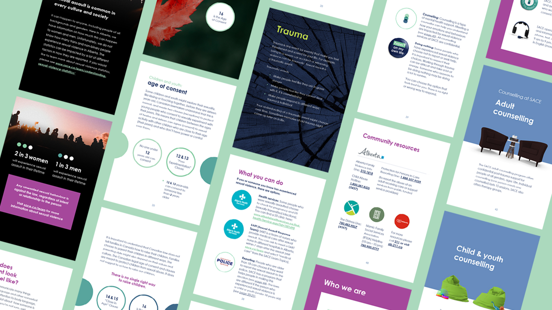 Pages from the new SACE Diversity and Inclusion program resource for newcomers Landed: Relationships and consent in Canada on a mint green background.