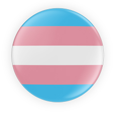 Trans 2 - Addressing Sexual Violence in Queer and Trans Communities