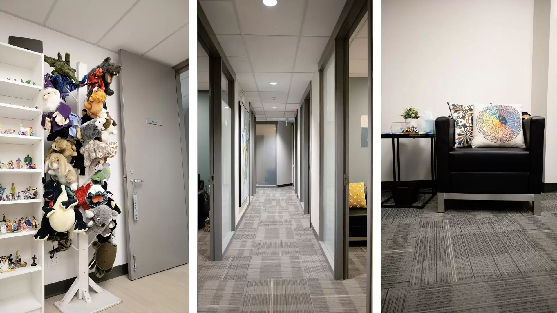 Contact Us Sexual Assault Centre Of Edmonton