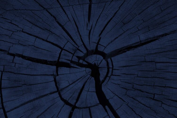 wood7 navy - Learn