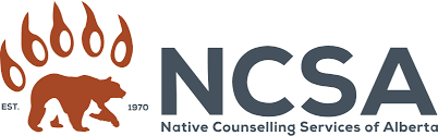 NCSA - What We Do