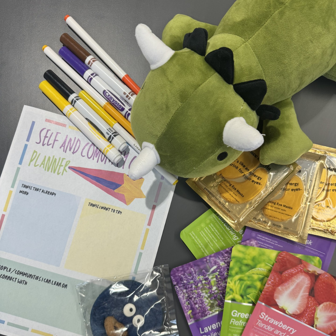 Volunteer Package - What We Do