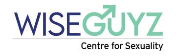 WiseGuys 360x116 1 - SACE Impact Report 2024-2025
