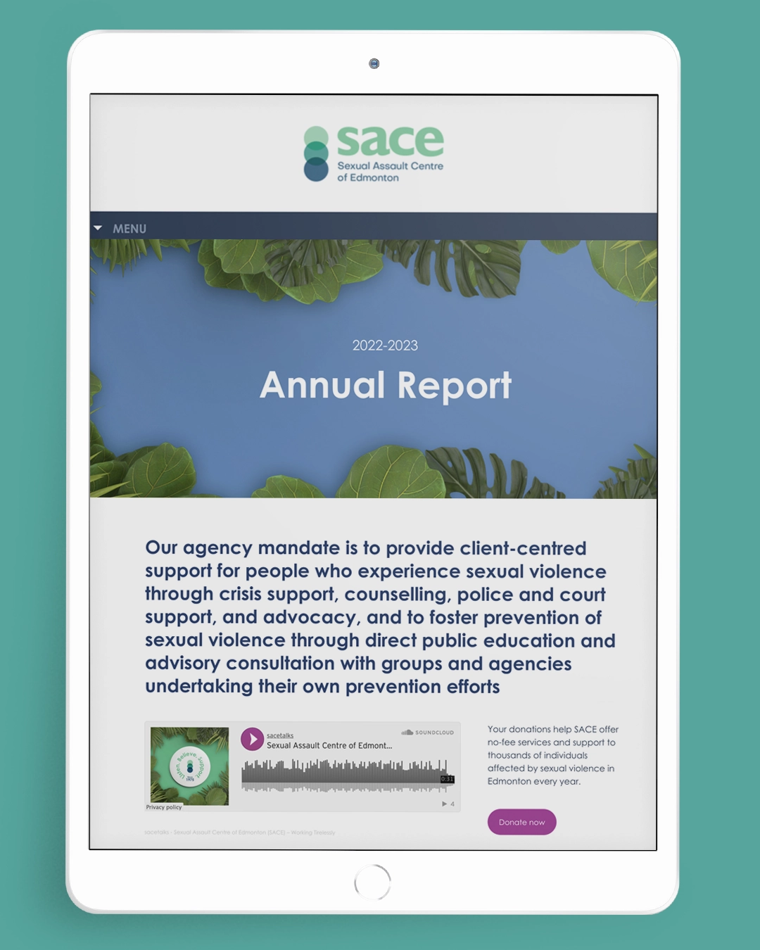 22 23AR Cover - SACE Reports