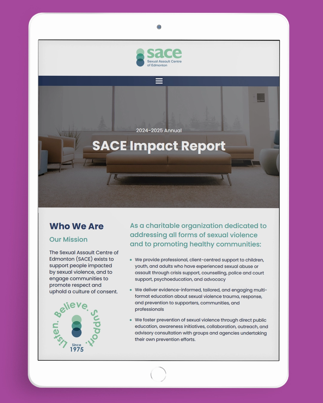 24 25 AR Cover - SACE Reports