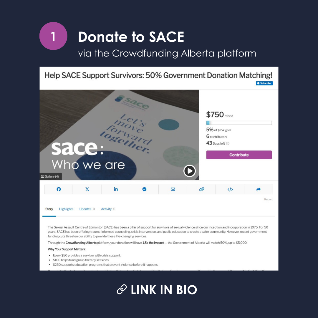 3 Sace Fundraising Campaign