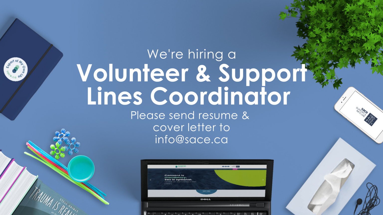 We’re Hiring a Volunteer & Support Lines Coordinator